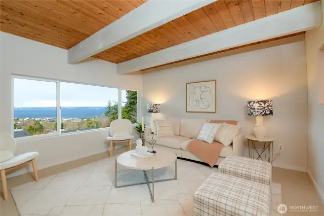 lower level full view family rec room w/ fireplace