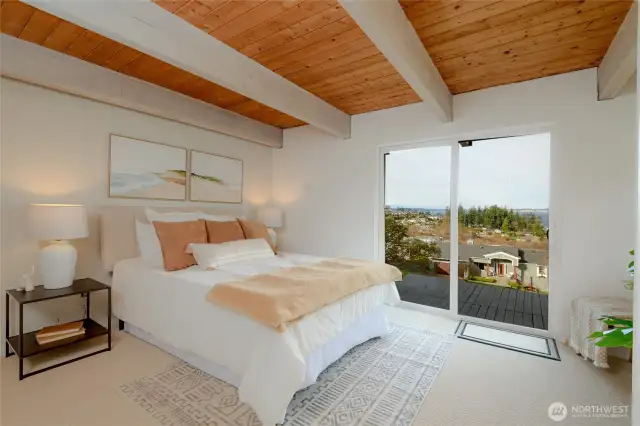 lower level NW corner unobstructed view bedroom with oversized closet & glass door access to lower level decks