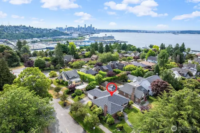 Stunning corner lot in the prime part of Magnolia.