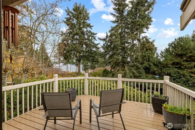Back deck looking out at the water