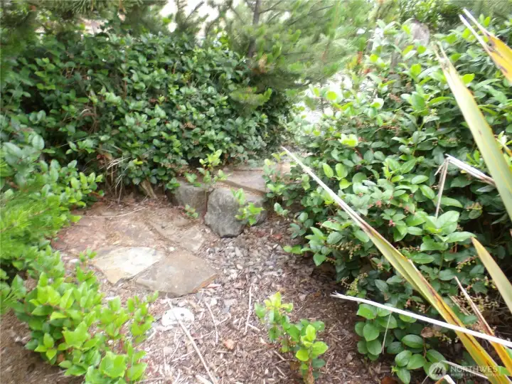 Fun little path onto the property off of I street.