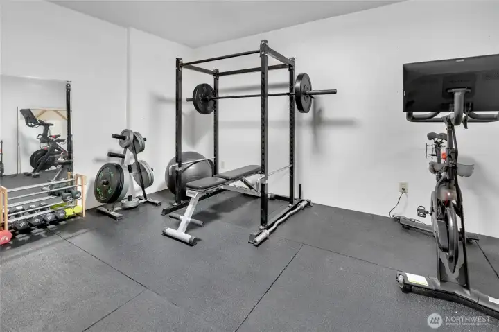 Lower level workout room/office/craft/wine cellar?