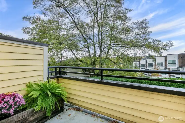 teritorial view from livingroom balcony