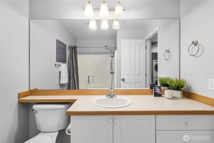 Primary suite view from bathtub