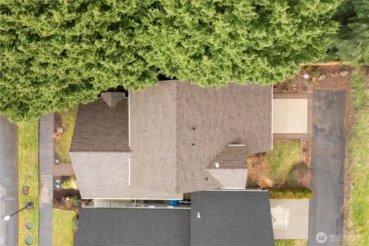 New Roof in 2020