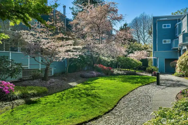 Beautifully landscaped common grounds.