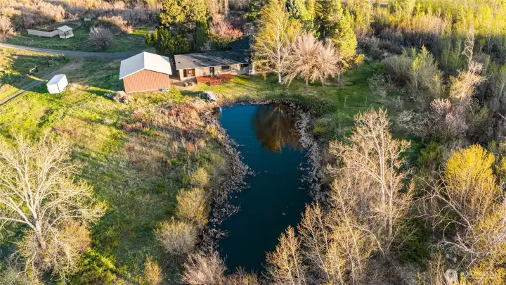 Serenity and plenty of acreage for your animals and gardening