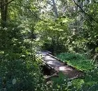 Lots of walks in Licton Spring park