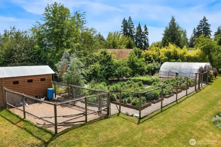Fenced garden with raised beds, irrigation, greenhouse and over 500 varieties of dahlias
