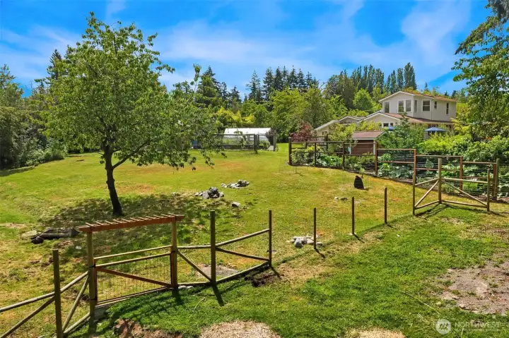 Animal enclosure