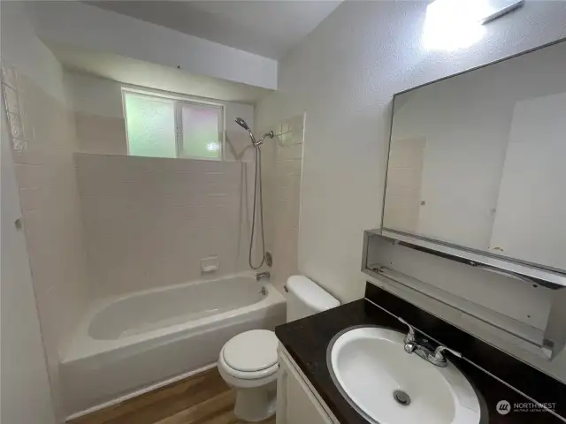 Lower level ADU bathroom