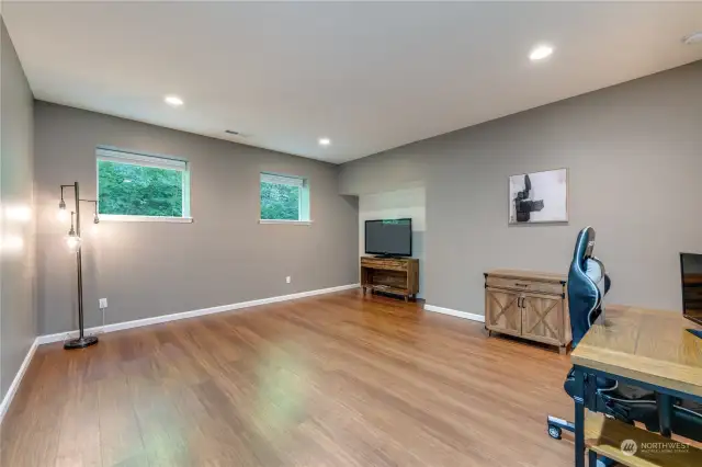 Lower level living room/ flex space