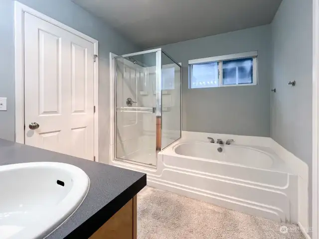 Primary bathroom