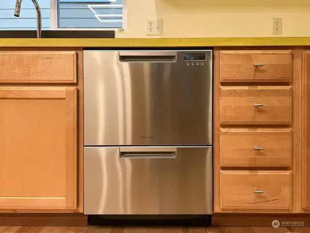 Double dishwasher