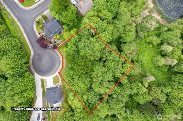 Overview Of Property Lines
