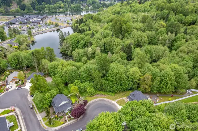 Aerial Shot