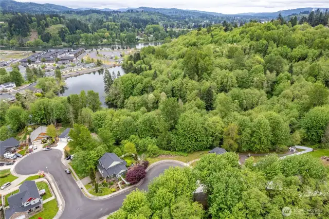 Aerial Shot