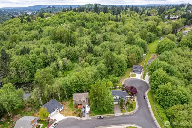 Aerial Shot