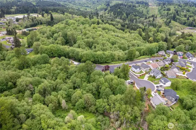 Aerial Shot