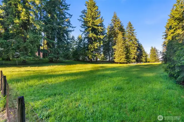 Fertile pasture for livestock