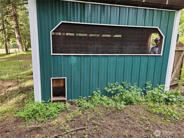 Delux chicken facility and semi-automated egg gathering process