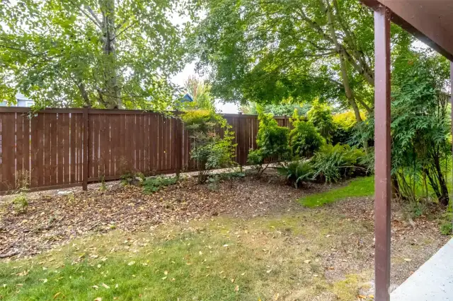 Privacy off your patio