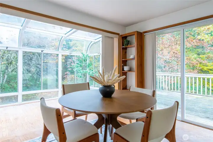 Lots of Light in Kitchen