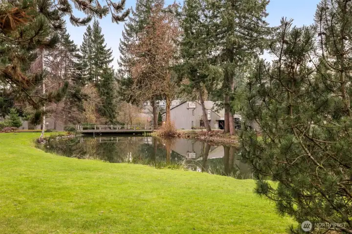 A Natural PNW park setting everywhere you turn at Sixty01.