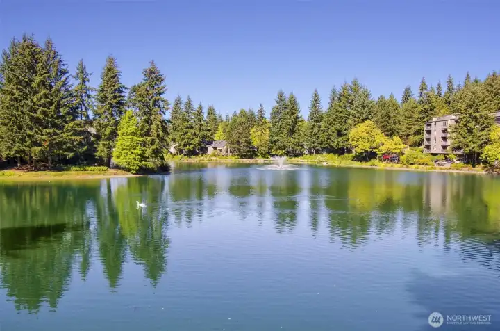 A Natural PNW park setting everywhere you turn at Sixty01. Enjoy long strolls along the pond. Be on the look out for the resident Swans! Summer Vibe.
