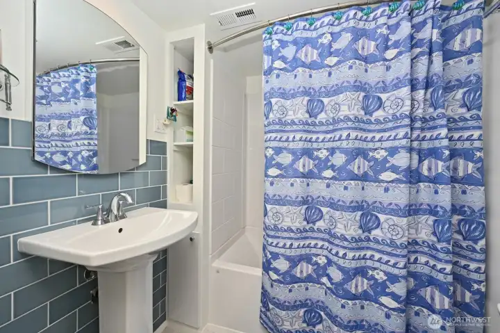 Lower level bathroom