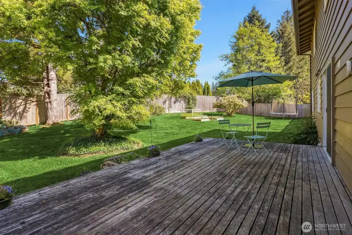 Fenced backyard