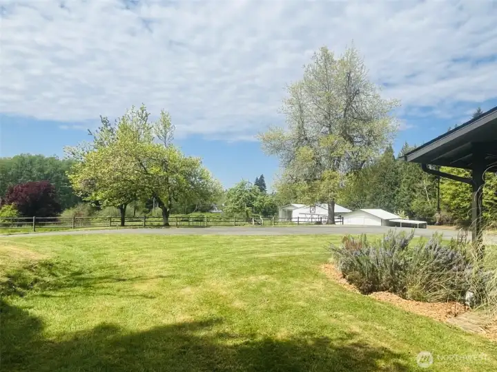 Front yard