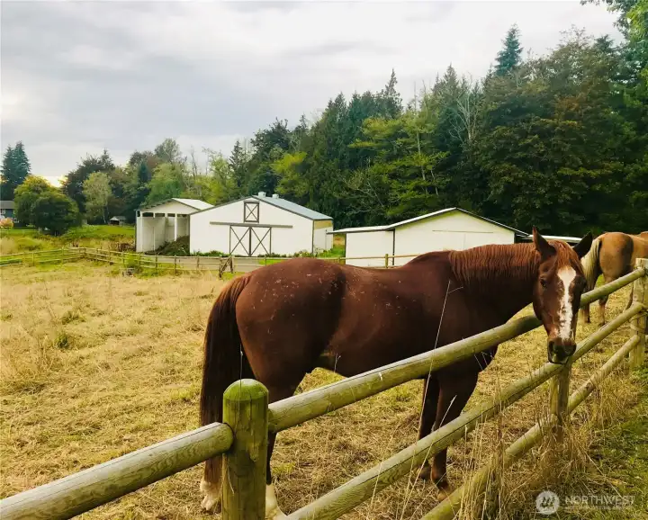 A charming farm to call home