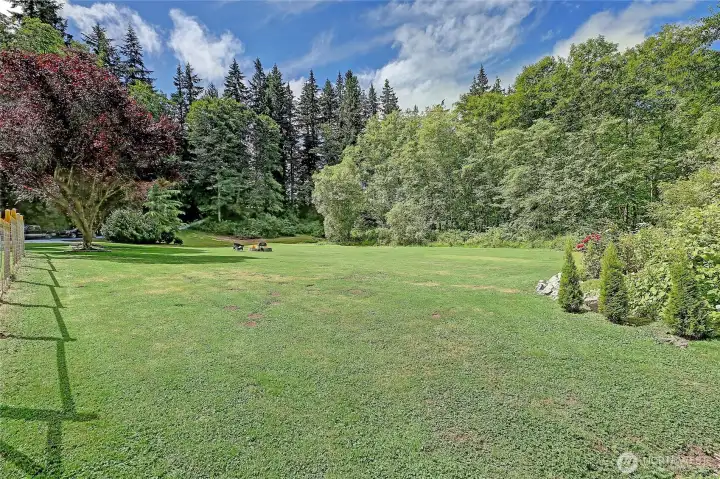 Large backyard featuring open green space and endless opportunities for outdoor living.
