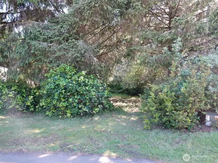 Front of the lot with a permitted driveway in 2015.
