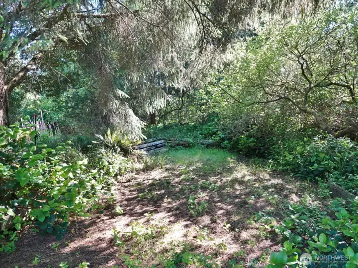 Interior of the lot.