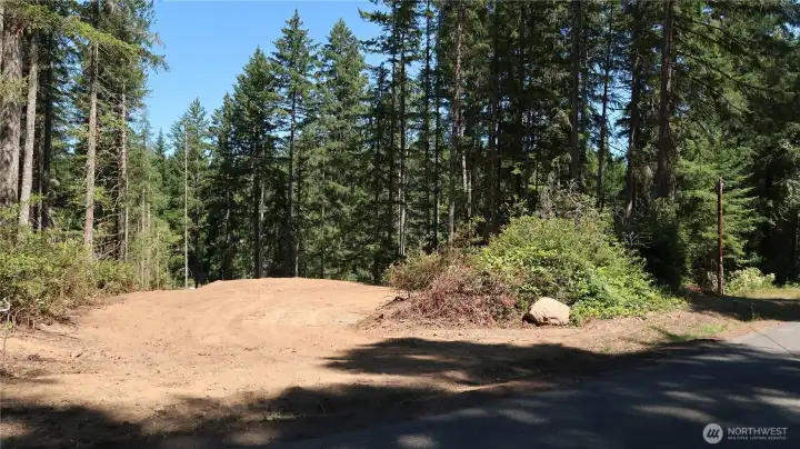 from road nice clear spot from road nice clear spot