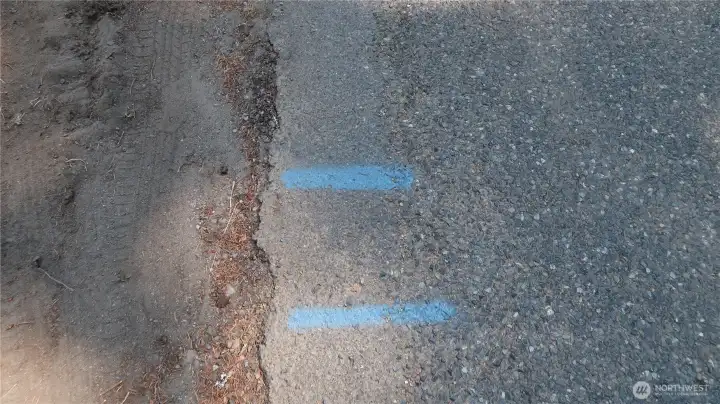 In the road blue line are water connection for the property. In the road blue line are water connection for the property.