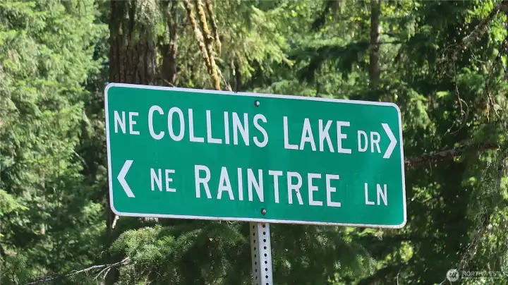 Raintree Ln is the street for the community for Collins Lake at the end. Raintree Ln is the street for the community for Collins Lake at the end.