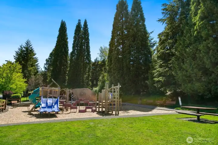 Beautiful playground and community park.