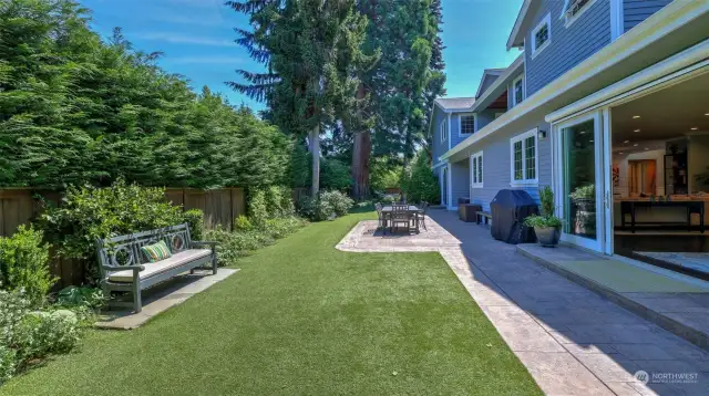 Low maintenance turf grass surfaces ideal for NW living.