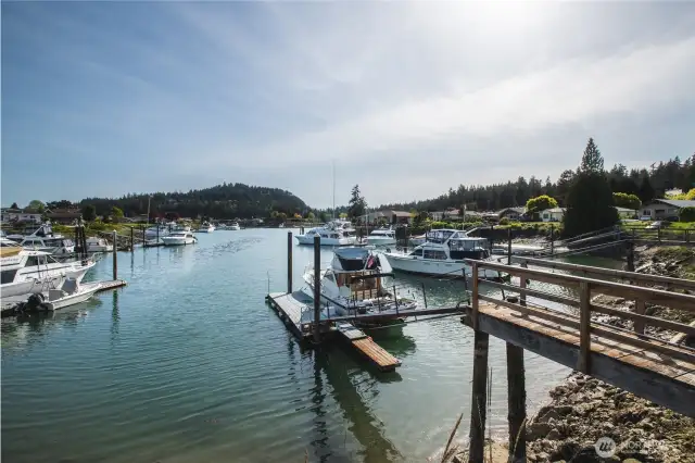 30' dock