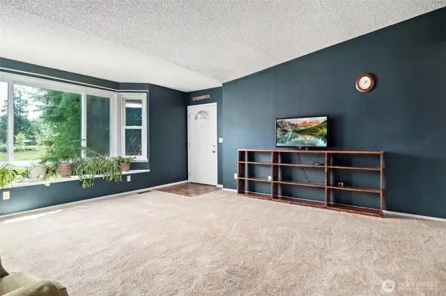 Spacious living room with big bay window letting in the light