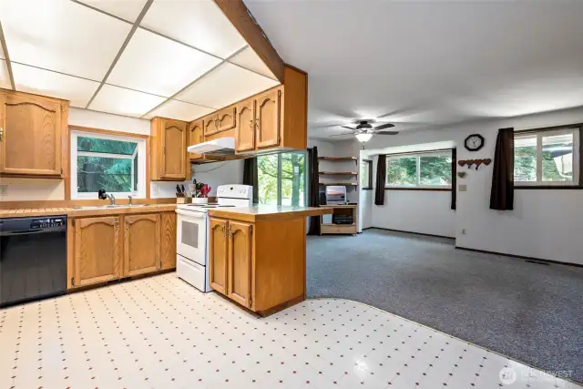 Kitchen and family room