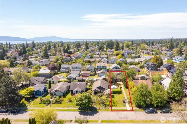 Right in the heart of Bellingham.