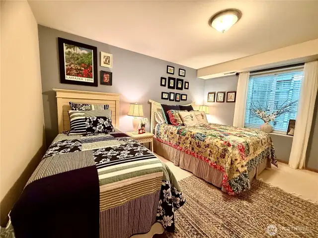 2nd bedroom downstairs w/ walk-in closet.