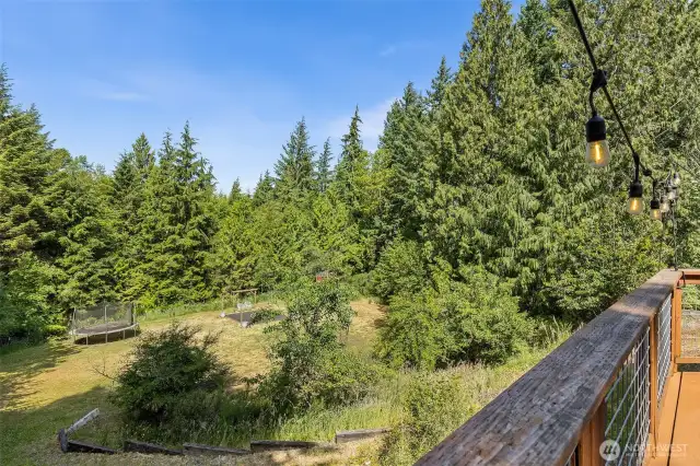 Back Yard has Mature Fruit Trees including Apple, Cherry, Plum & Various Berry Bushes~