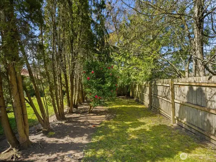 Side yard