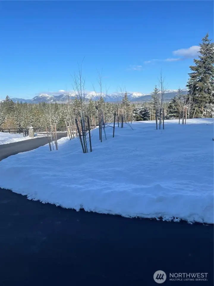 Front yard in winter