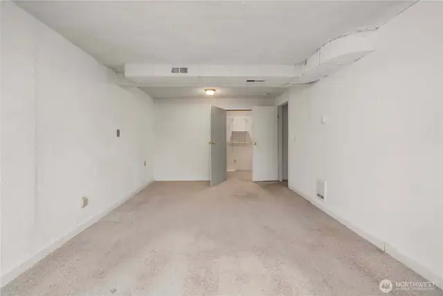 Looking back toward the door and huge closet in the basement bedroom.